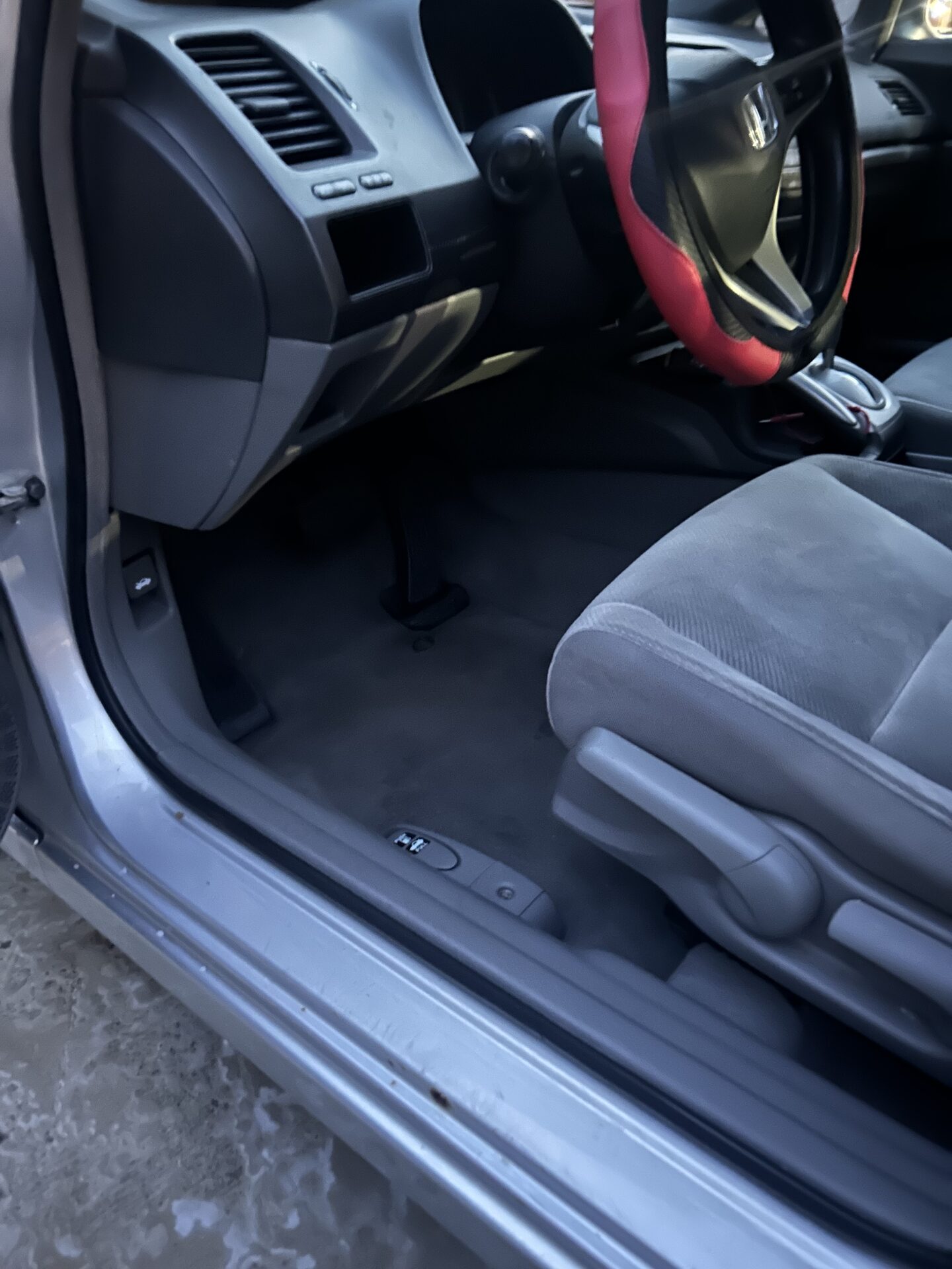 Carpet after extraction 2