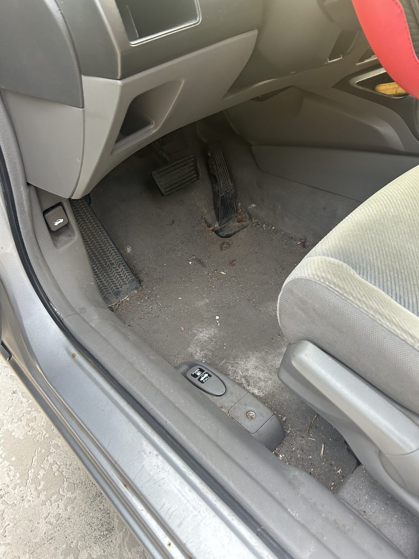 Carpet before extraction 2