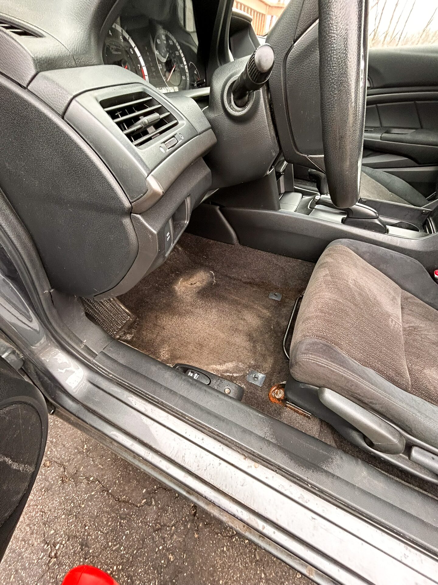 Carpet before extraction