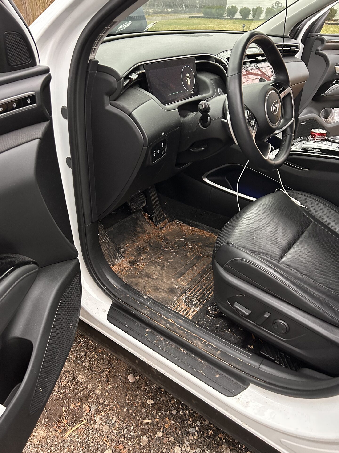 Interior before detail